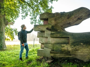Ein Mann berührt einen kunstvoll geschnittenen Baumstamm in einer grünen Landschaft unter Bäumen.