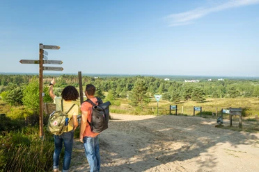 Oerlinghausen-Sandgrube-Hassler-Teutoburger-Wald-Tourismus-Patrick-Gawandtka-017-CC-BY-SA.jpg Sandgrube Hassler Oerlinghausen