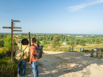 Oerlinghausen-Sandgrube-Hassler-Teutoburger-Wald-Tourismus-Patrick-Gawandtka-017-CC-BY-SA.jpg Sandgrube Hassler Oerlinghausen