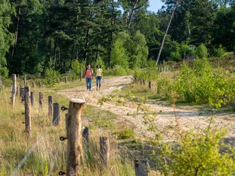 Oerlinghausen-Sandgrube-Hassler-Teutoburger-Wald-Tourismus-Patrick-Gawandtka-025.jpg Zwei Frauen spazieren auf einem sandigen Pfad durch eine grüne, bewaldete Landschaft im Sonnenschein.