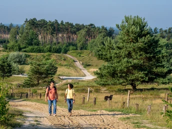 Oerlinghausen-Sandgrube-Hassler-Teutoburger-Wald-Tourismus-Patrick-Gawandtka-008.jpg Zwei Personen spazieren auf einem sandigen Pfad durch eine grüne, bewaldete Landschaft.