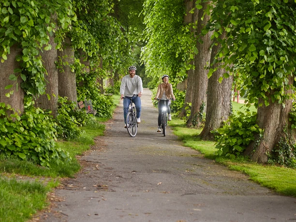 Borchen-Mallinckrodthof-Teutoburger-Wald-Tourismus-T-Evers-145.jpg Ein Paar fährt freudig Rad auf einem von Bäumen gesäumten Weg, eingebettet in grüner Natur.
