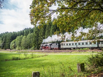 Murgtal Scho negru nd P1120031