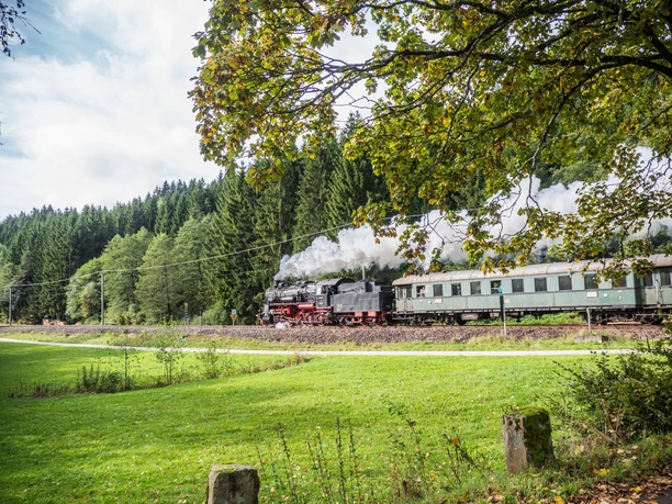 Murgtal Scho negru nd P1120031