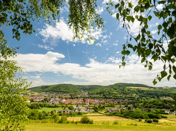 Blick auf ein grünes Tal mit einem charmanten Dorf, umrundet von sanften Hügeln und grünen Bäumen.