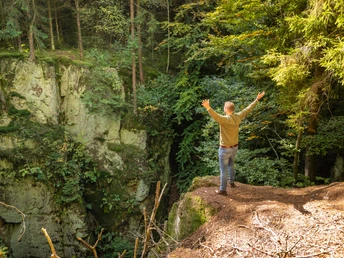 Eine Person steht mit ausgebreiteten Armen auf einem bewaldeten Felsvorsprung und genießt den Ausblick.