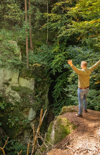 Eine Person steht mit ausgebreiteten Armen auf einem bewaldeten Felsvorsprung und genießt den Ausblick.
