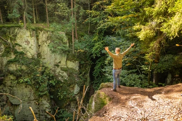 Lichtenau-Alte Eisenbahn-Teutoburger-Wald-Tourismus-D-Ketz-062-CC-BY-SA.jpg Eine Person steht mit ausgebreiteten Armen auf einem bewaldeten Felsvorsprung und genießt den Ausblick.