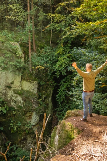 Lichtenau-Alte Eisenbahn-Teutoburger-Wald-Tourismus-D-Ketz-062-CC-BY-SA.jpg Eine Person steht mit ausgebreiteten Armen auf einem bewaldeten Felsvorsprung und genießt den Ausblick.