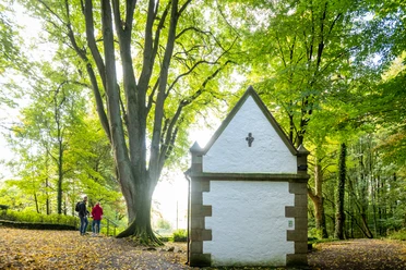 Lichtenau-Wallfahrtsgelände Kleinenberg-Teutoburger-Wald-Tourismus-D-Ketz-053.jpg Kleine weiße Kapelle im Wald, große Bäume drumherum; Spaziergänger auf einem Laub bedeckten Weg.