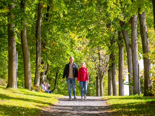 Lichtenau-Wallfahrtsgelände Kleinenberg-Teutoburger-Wald-Tourismus-D-Ketz-056.jpg Ein Paar spaziert auf einem Baum gesäumten Pfad im Grünen bei Sonnenschein, gefolgt von Personen.