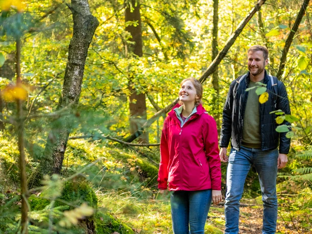 Ein lächelndes Paar geht im herbstlichen Wald spazieren, sonnenbeschienene Bäume im Hintergrund.