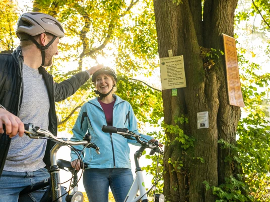 Lichtenau-Annenkapelle-Teutoburger-Wald-Tourismus-D-Ketz-016.jpg Zwei Radfahrer mit Helmen lächeln sich unter einem sonnendurchfluteten Baum an. Schilder hängen am Stamm.