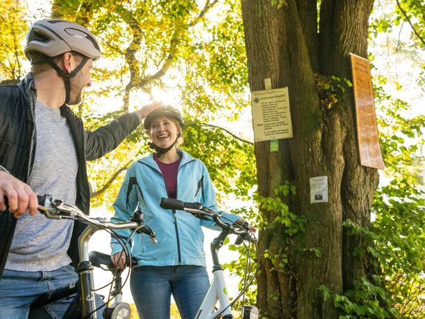 Lichtenau-Annenkapelle-Teutoburger-Wald-Tourismus-D-Ketz-016.jpg Zwei Radfahrer mit Helmen lächeln sich unter einem sonnendurchfluteten Baum an. Schilder hängen am Stamm.