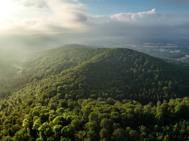 Panoramablick auf bewaldete Hügel im Sonnenlicht, umgeben von sanften Nebelschwaden und weitem Himmel.
