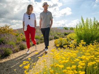 Paar spaziert auf einem Kiesweg in einem blühenden Garten, umgeben von Lavendel und gelben Blumen.
