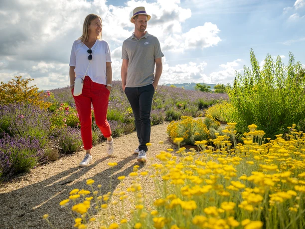 Lage-TAOASIS Durftgarten-Teutoburger-Wald-Tourismus-D-Ketz-042.jpg Paar spaziert auf einem Kiesweg in einem blühenden Garten, umgeben von Lavendel und gelben Blumen.