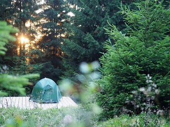 Trekking im Nationalpark Hunsrück-Hochwald