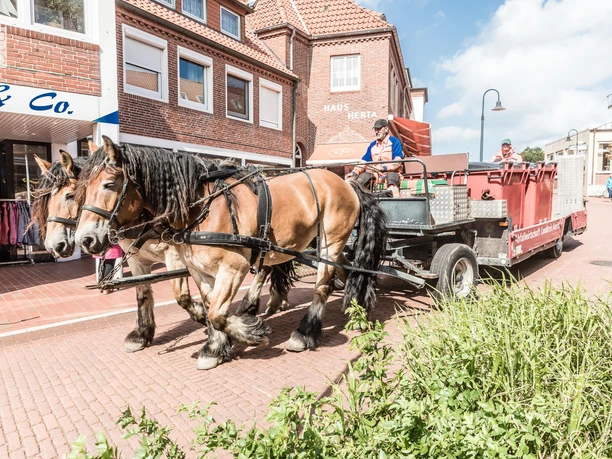 Muellabfuhr-Pferdekutsche-Juist