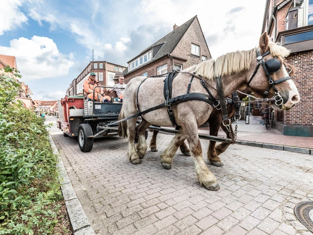 Muellabfuhr-Pferdekutsche-Juist.jpg Muellabfuhr-Pferdekutsche-Juist