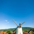 Historische Windmühle in Preußisch Oldendorf mit markanten Flügeln, umgeben von grüner Landschaft.