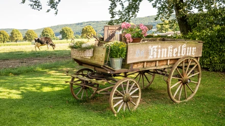 Alter Holzhandwagen mit Blumen, im Hintergrund weidende Kuh und eine malerische Landschaft.