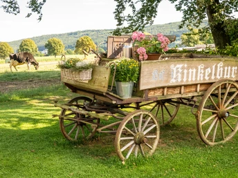 Alter Holzhandwagen mit Blumen, im Hintergrund weidende Kuh und eine malerische Landschaft.