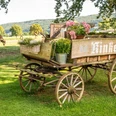 Minden-Biohof Kinkelbur-Teutoburger-Wald-Tourismus-D-Ketz-084-CC-BY-SA.jpg Alter Holzhandwagen mit Blumen, im Hintergrund weidende Kuh und eine malerische Landschaft.