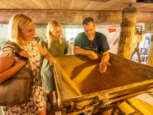 In der historischen Mühle stehen drei Menschen. Ein Mann mit blauer Kleidung betastet Getreide in einer Holzschütte. Links leuchtet Tageslicht durch ein Fenster. Die Atmosphäre ist gemütlich und lehrreich, ideal für einen Besuch in der Wassermühle im Teutoburger Wald.