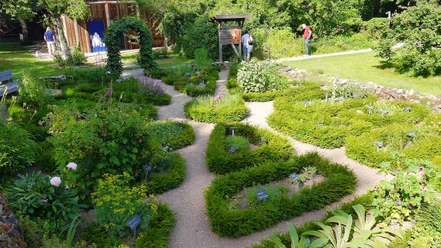 Kräutergarten Umweltzentrum Heerser Mühle
