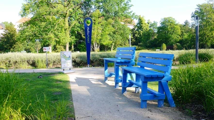 Aktiv-Fläche im Kurpark