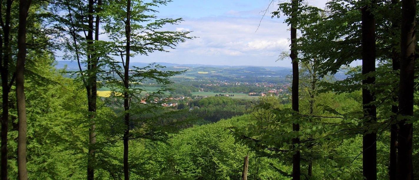 Blick vom Teutoburger Wald durch grüne Baumkronen auf Felder und Orte im Tal