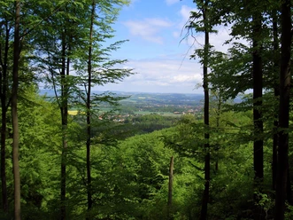 Aussicht vom Kamm des Teutoburger Waldes