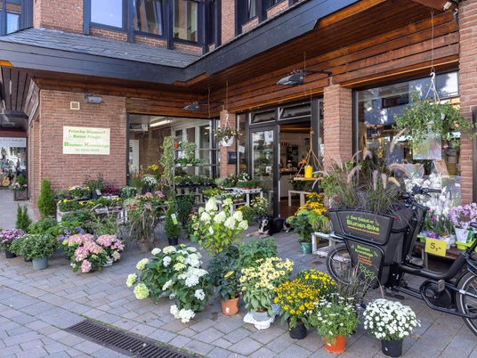 Blumen Kronshage_2
