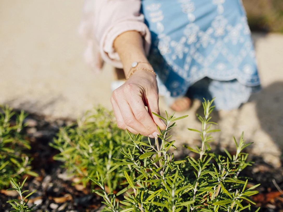 Kneipp Kräutergarten