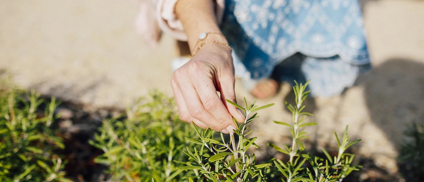 Kneipp Kräutergarten