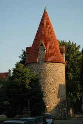 Katzentrum im Abendlicht