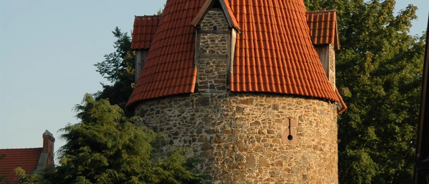 Katzentrum im Abendlicht