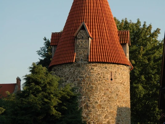 Katzentrum im Abendlicht