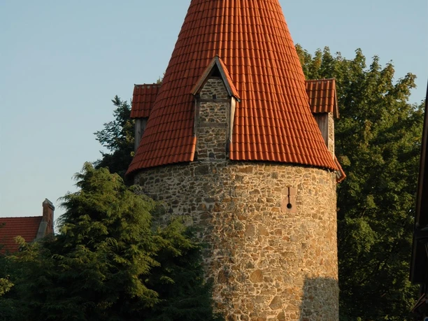 Katzentrum im Abendlicht