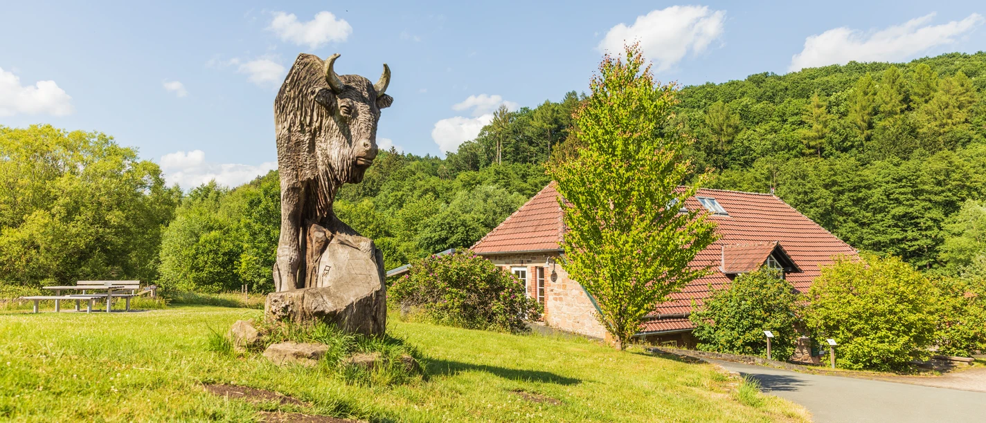Warburg-Hammerhof-Teutoburger-Wald-Tourismus-A-Röser-051-CC-BY-SA.jpg Steinbüffel-Skulptur auf grüner Wiese, Holzhütte und bewaldeter Hügel im Hintergrund.