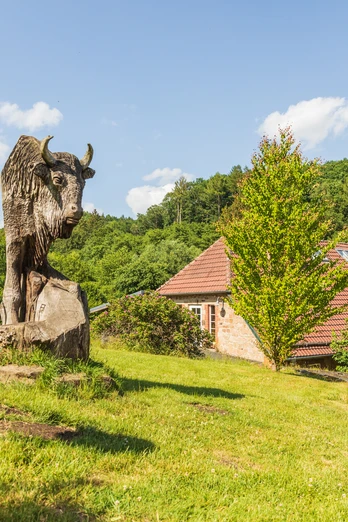 Warburg-Hammerhof-Teutoburger-Wald-Tourismus-A-Röser-051-CC-BY-SA.jpg Steinbüffel-Skulptur auf grüner Wiese, Holzhütte und bewaldeter Hügel im Hintergrund.