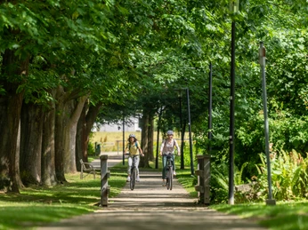 Hille-Kurpark-Rothenuffeln-Teutoburger-Wald-Tourismus-Patrick-Gawandtka-056.jpg Zwei Radfahrer auf einem von Bäumen gesäumten, sonnigen Parkweg.