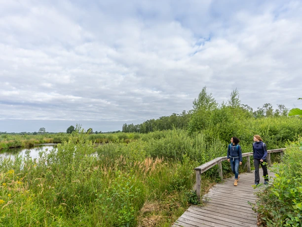 Großes Torfmoor-Teutoburger-Wald-Tourismus-Patrick-Gawandtka-015.jpg Zwei Personen spazieren auf einem Holzsteg durch das Große Torfmoor