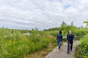 Großes Torfmoor-Teutoburger-Wald-Tourismus-Patrick-Gawandtka-016.jpg Zwei Frauen spazieren auf einem hölzernen Steg durch das Große Torfmooe