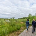 Großes Torfmoor-Teutoburger-Wald-Tourismus-Patrick-Gawandtka-016.jpg Zwei Frauen spazieren auf einem hölzernen Steg durch das Große Torfmooe