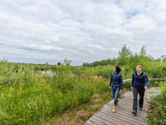 Großes Torfmoor-Teutoburger-Wald-Tourismus-Patrick-Gawandtka-016.jpg Zwei Frauen spazieren auf einem hölzernen Steg durch das Große Torfmooe