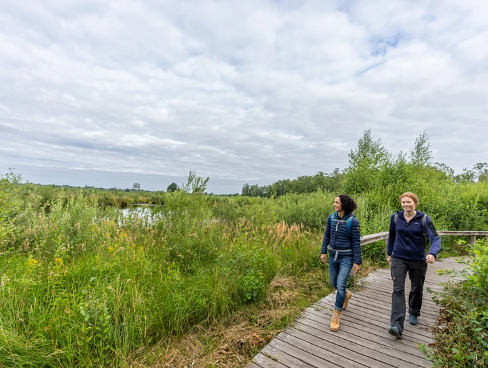 Luebbecke-Torfmoor-Teutoburger-Wald-Tourismus-Patrick-Gawandtka-016.jpg Zwei Frauen spazieren auf einem hölzernen Steg durch eine grüne, naturbelassene Landschaft.