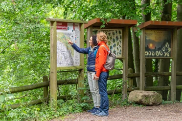Zwei Personen studieren eine informativen Karte im grünen, waldreichen Umfeld eines Naturparks.