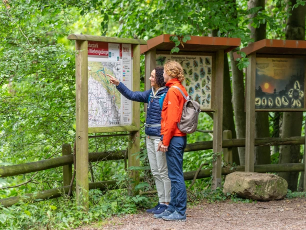 Zwei Personen studieren eine informativen Karte im grünen, waldreichen Umfeld eines Naturparks.